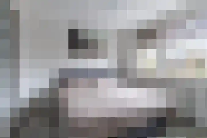 Anthony Fokkerstraat 17 Hurdegaryp thumbnail 32
