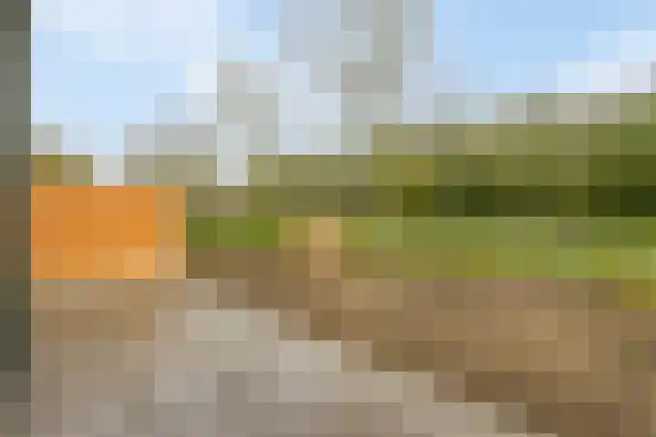 Anthony Fokkerstraat 25 Goes thumbnail 17