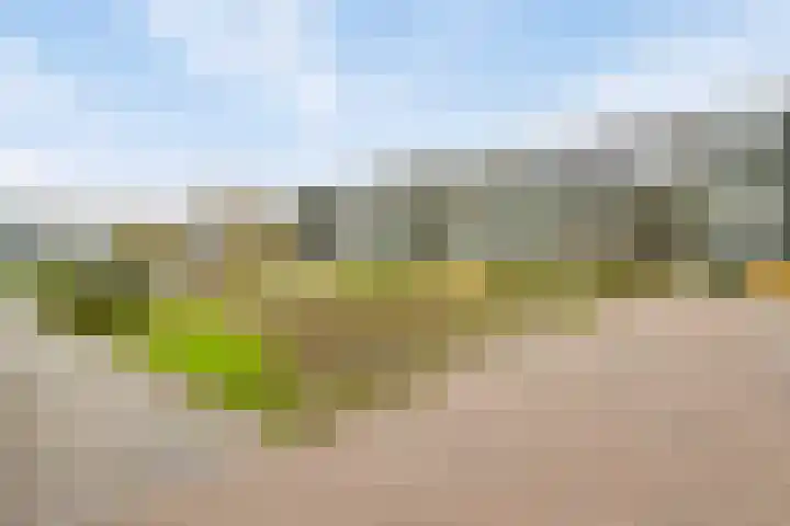 Anthony Fokkerstraat 25 Goes thumbnail 19