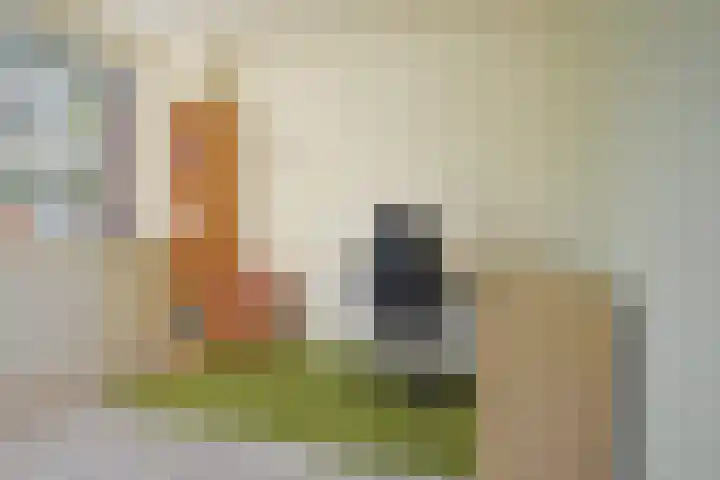 Anthony Fokkerstraat 45 Hurdegaryp thumbnail 34