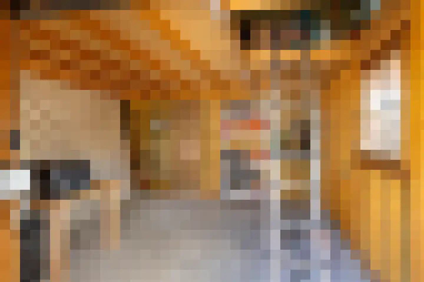 Anthony Fokkerstraat 48 Hurdegaryp thumbnail 38