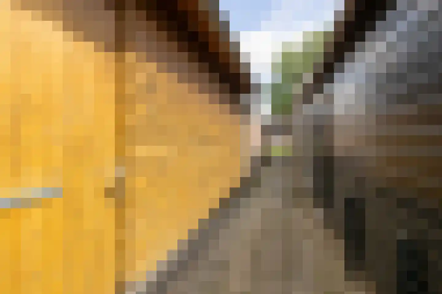 Anthony Fokkerstraat 48 Hurdegaryp thumbnail 39