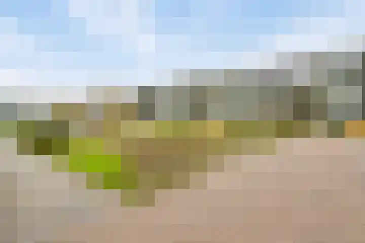 Anthony Fokkerstraat 51 Goes thumbnail 21