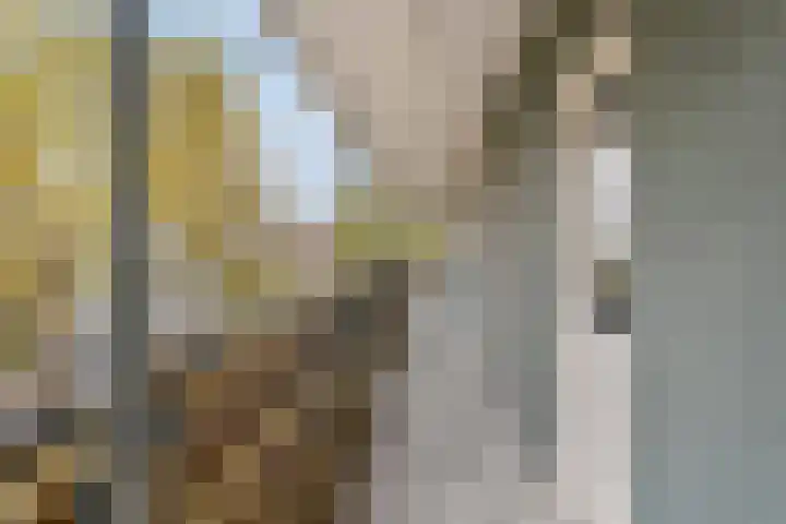 Anthony Fokkerstraat 51 Goes thumbnail 7