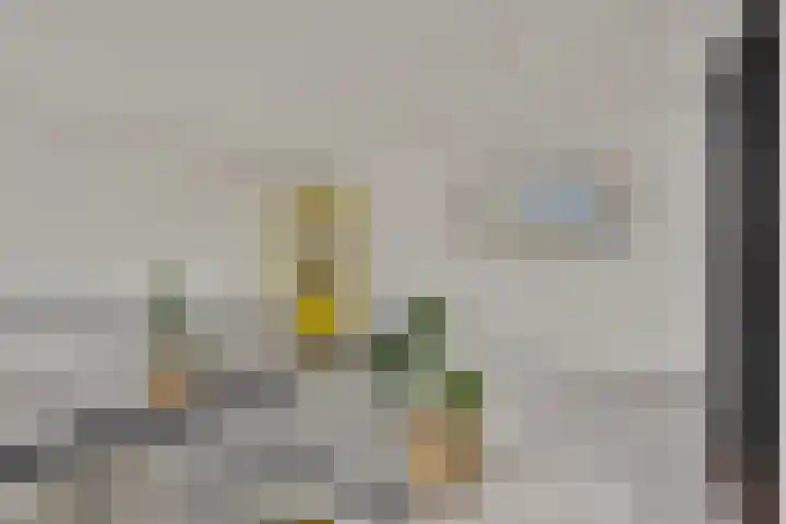 Anthony Fokkerstraat 57 Goes thumbnail 4