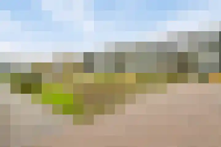 Anthony Fokkerstraat 61 Goes thumbnail 18