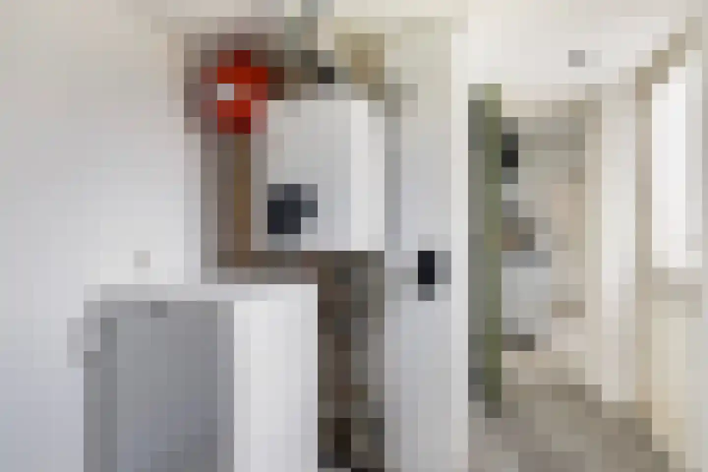 Anthony Fokkerstraat 8 Hurdegaryp thumbnail 21