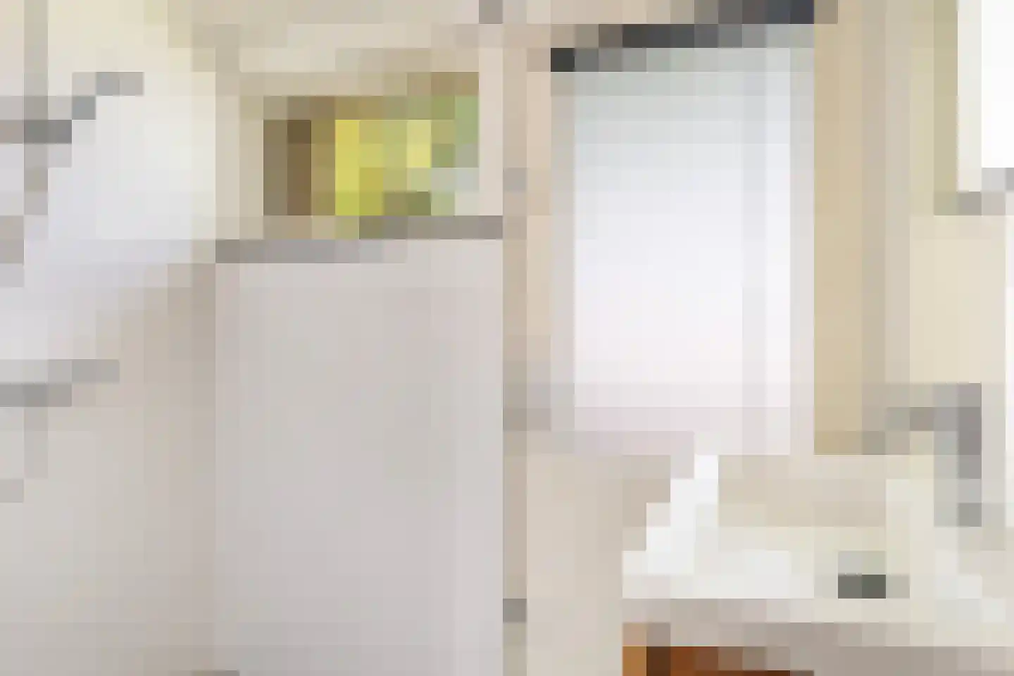 Anthony Fokkerstraat 8 Hurdegaryp thumbnail 29
