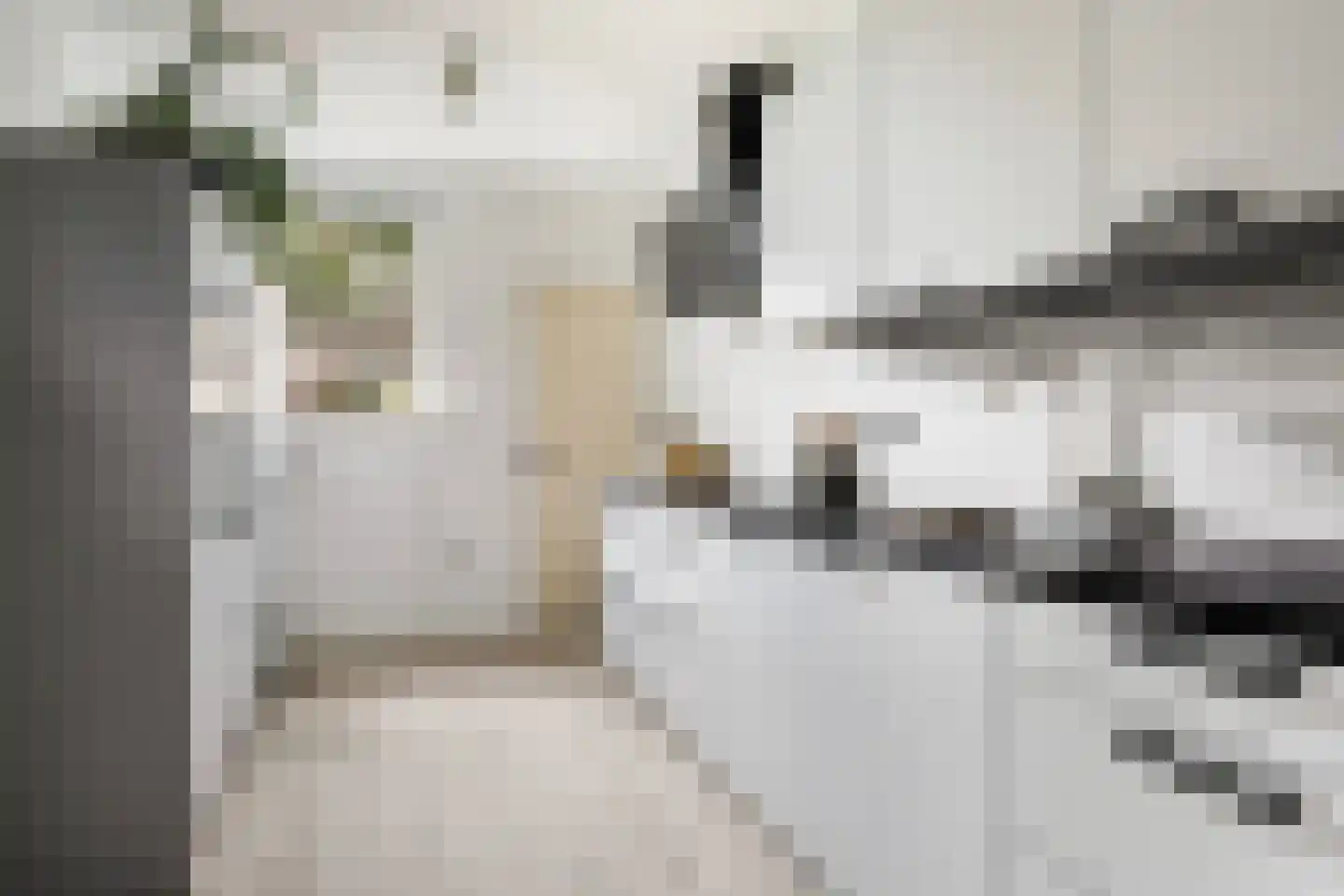 Anthony Fokkerstraat 8 Hurdegaryp thumbnail 4