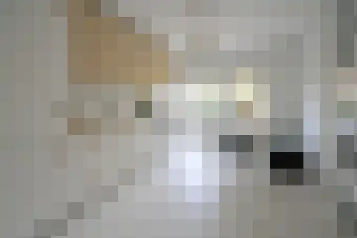 Anthony Fokkerweg 154 Hilversum thumbnail 10