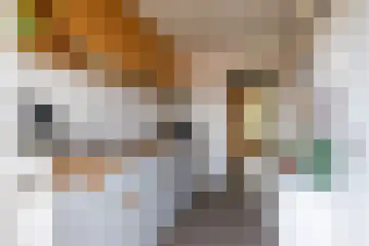 Anthony Fokkerweg 176 Hilversum thumbnail 14