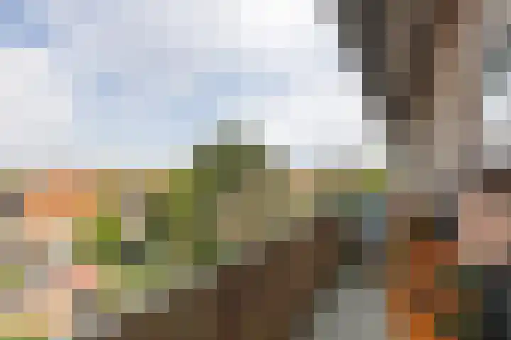 Anthony Fokkerweg 176 Hilversum thumbnail 17