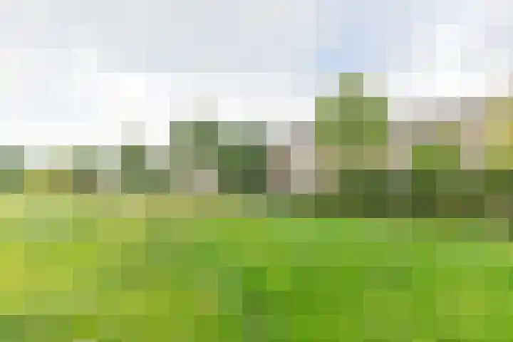 Anthony Fokkerweg 176 Hilversum thumbnail 26