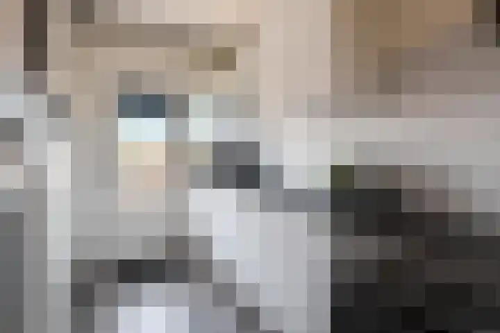 Anthony Fokkerweg 200 Hilversum thumbnail 4