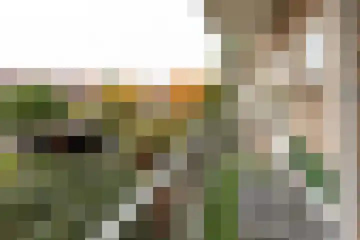 Anthony Fokkerweg 216 Hilversum thumbnail 19