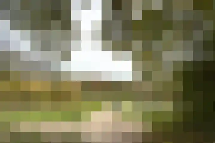 Anthony Fokkerweg 216 Hilversum thumbnail 24