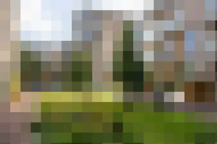 Anthony Roodvoetsstraat 101 Haarlem thumbnail 24
