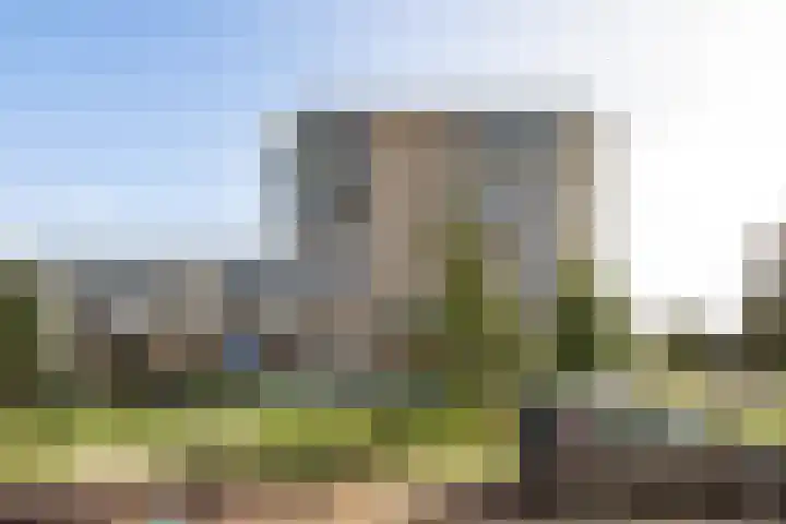 Anthony Roodvoetsstraat 101 Haarlem thumbnail 25