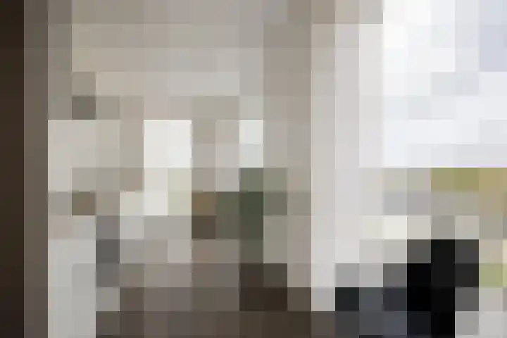 Anthony Roodvoetsstraat 101 Haarlem thumbnail 7