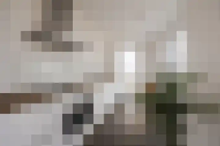 Anthony Roodvoetsstraat 101 Haarlem thumbnail 8