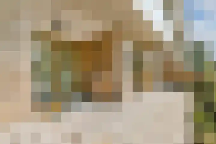 Anthony Roodvoetsstraat 21 Haarlem thumbnail 14