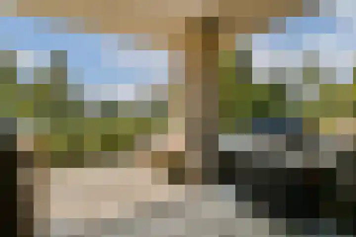 Anthony Roodvoetsstraat 21 Haarlem thumbnail 15