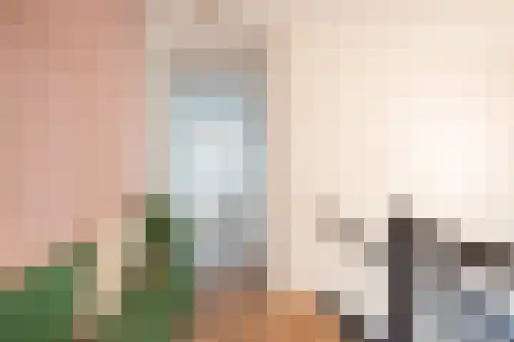 Anthony Roodvoetsstraat 3 Haarlem thumbnail 10