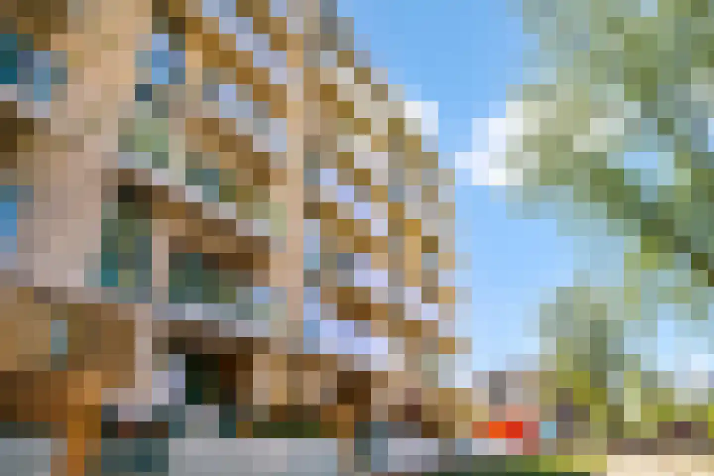 Anthony Roodvoetsstraat 47 Haarlem thumbnail 14