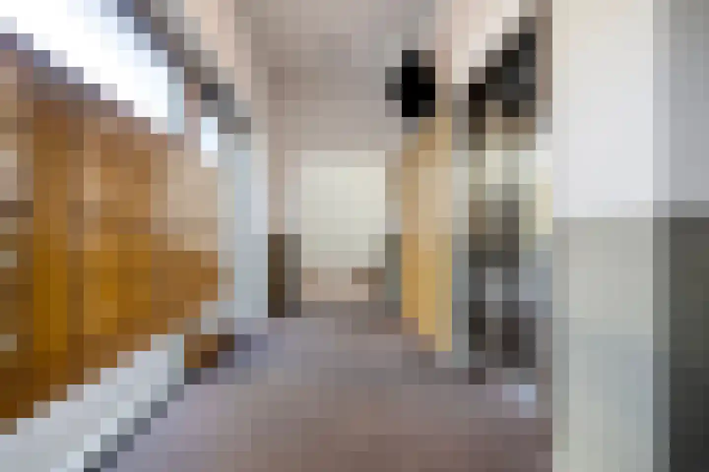Anthony Roodvoetsstraat 57 Haarlem thumbnail 26