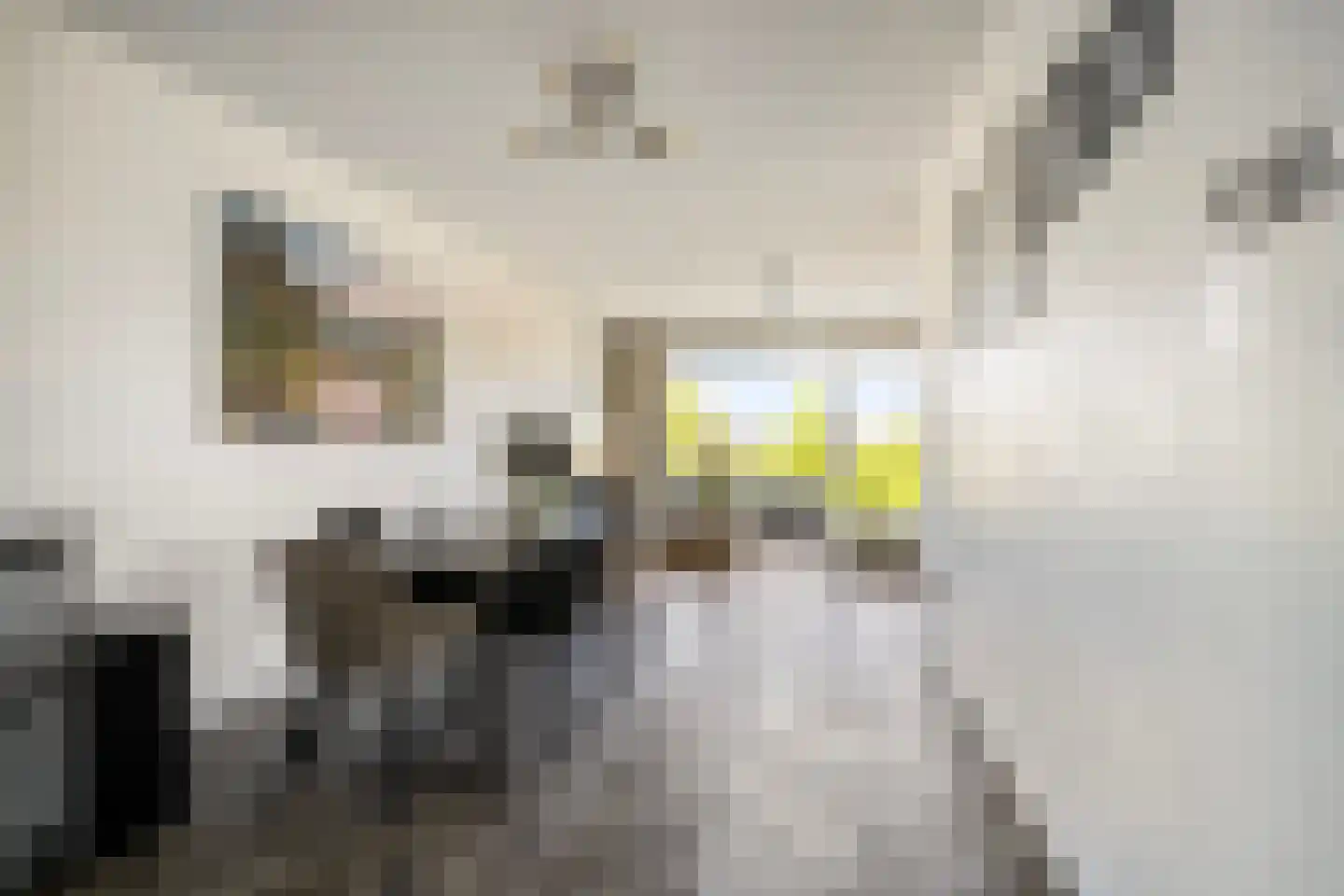 Anthony Roodvoetsstraat 57 Haarlem thumbnail 7