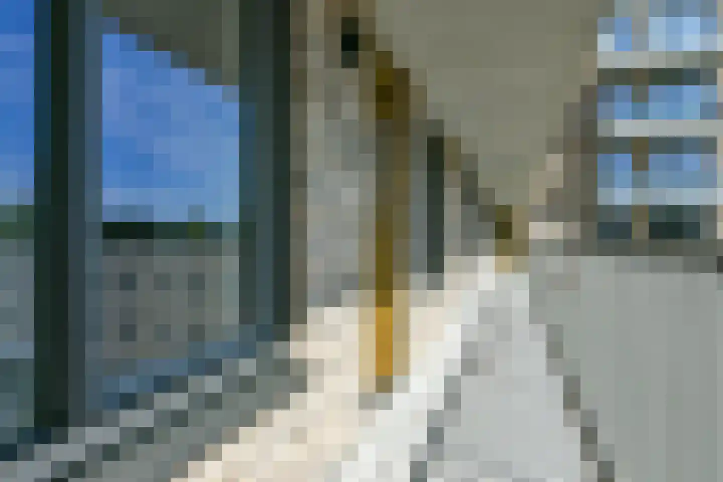 Anthony Roodvoetsstraat 61 Haarlem thumbnail 11