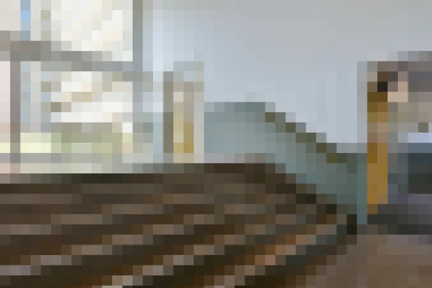 Anthony Roodvoetsstraat 61 Haarlem thumbnail 6