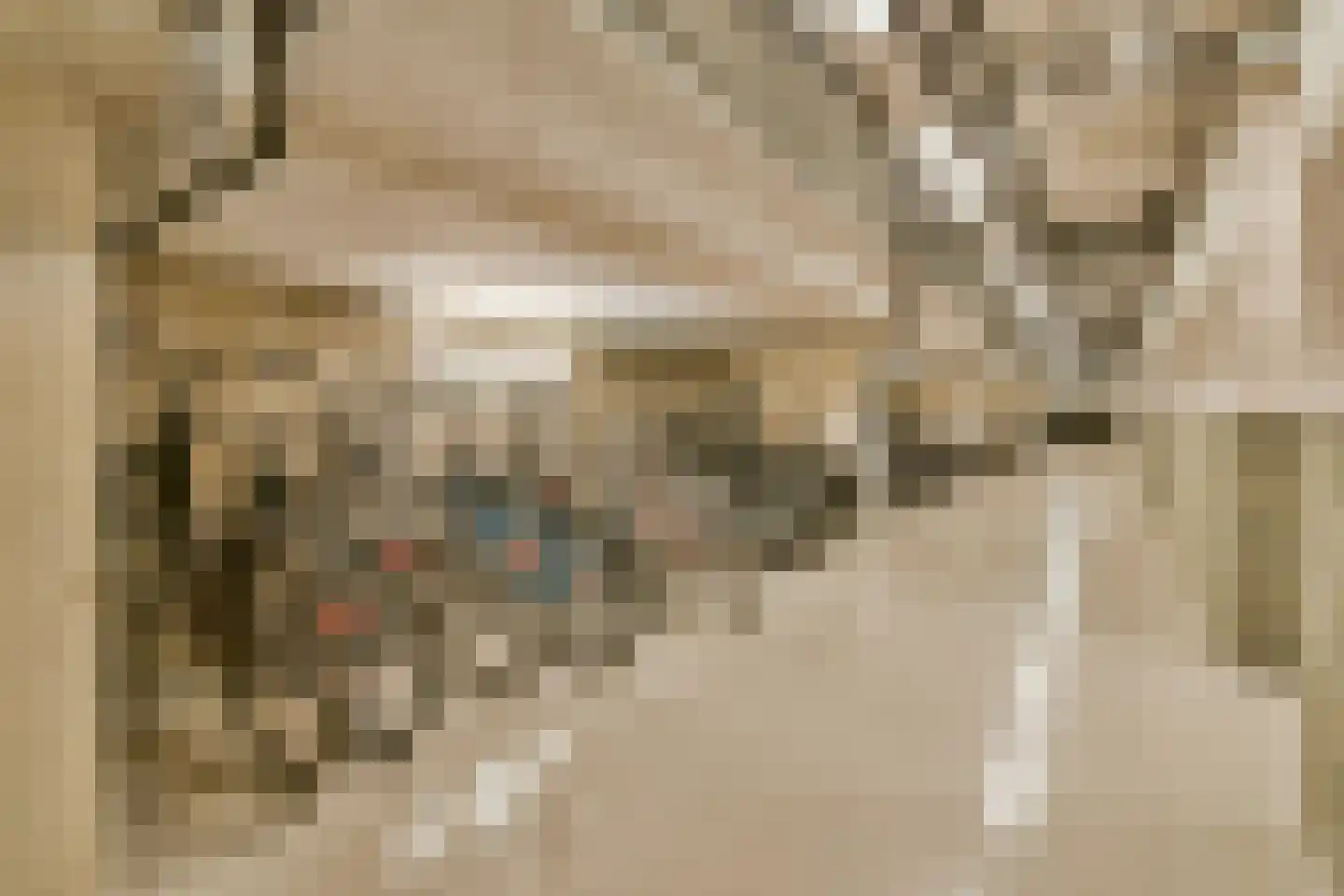 Anthony Roodvoetsstraat 87 Haarlem thumbnail 20