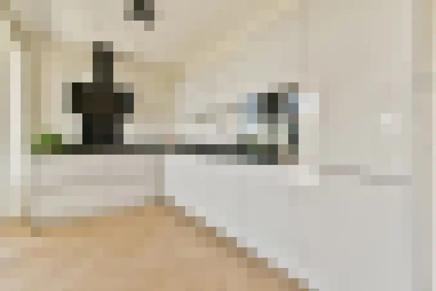 Anthony Roodvoetsstraat 87 Haarlem foto 3