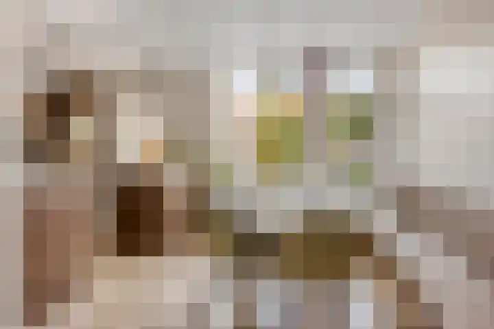Anthony Staringdreef 20 Goirle thumbnail 10