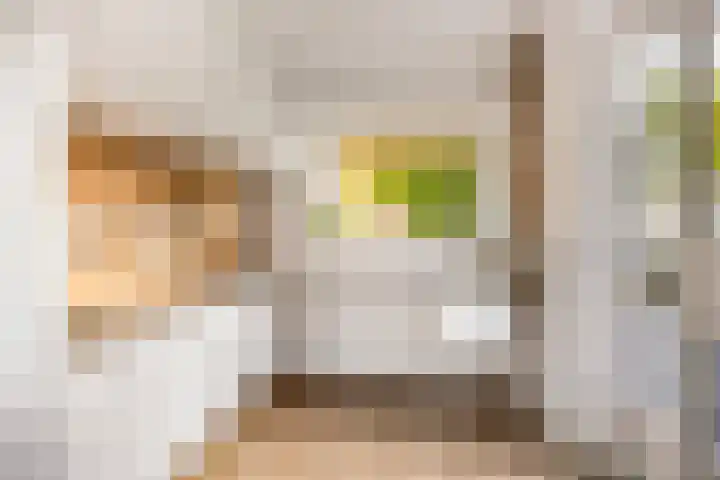 Anthony Staringdreef 20 Goirle thumbnail 15