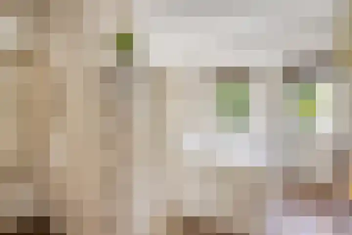 Anthony Staringdreef 20 Goirle thumbnail 18