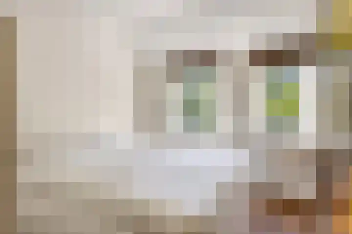 Anthony Staringdreef 20 Goirle thumbnail 19