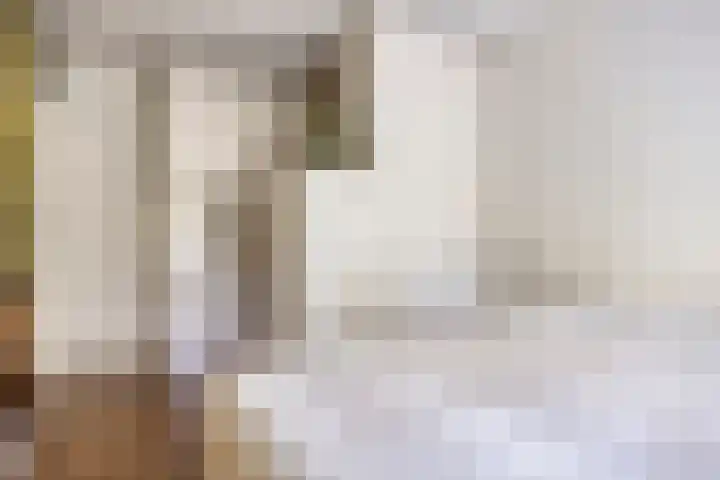 Anthony Staringdreef 20 Goirle thumbnail 20