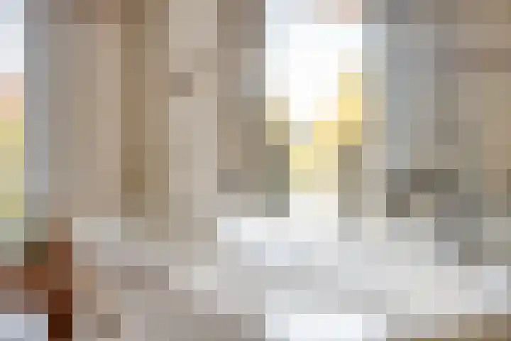 Anthony Staringdreef 20 Goirle thumbnail 23