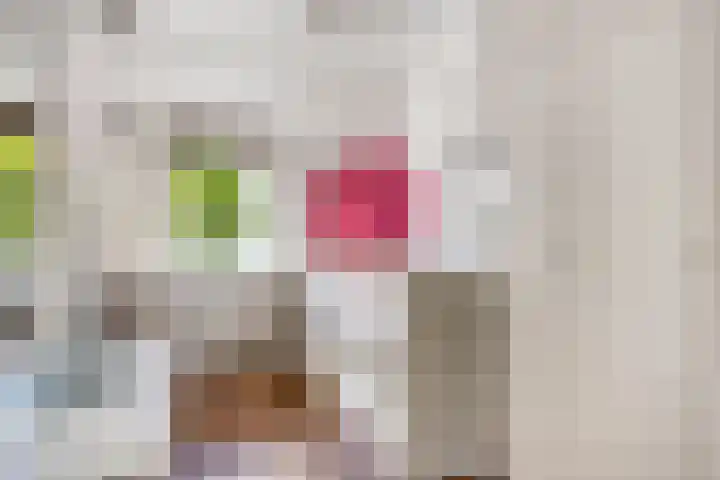 Anthony Staringdreef 20 Goirle thumbnail 26