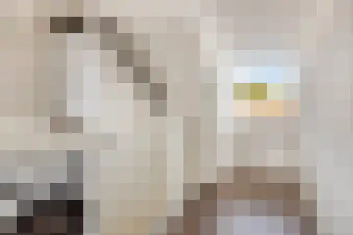 Anthony Staringdreef 20 Goirle thumbnail 30