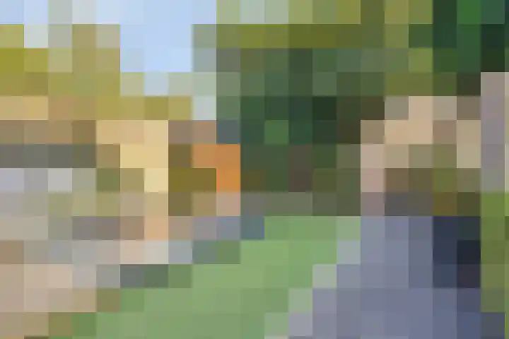 Anthony Staringdreef 20 Goirle thumbnail 35