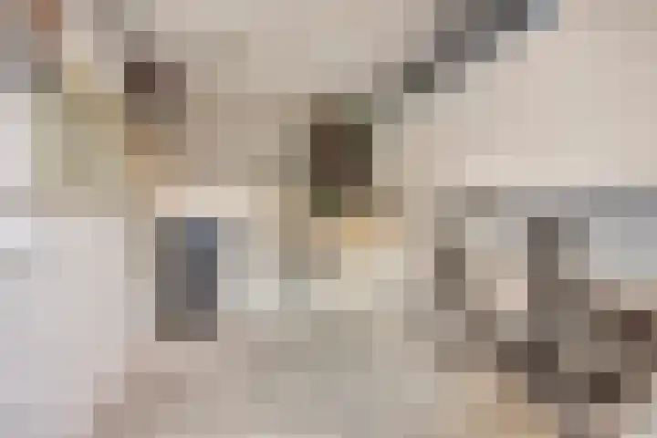 Anthony Staringdreef 20 Goirle thumbnail 36