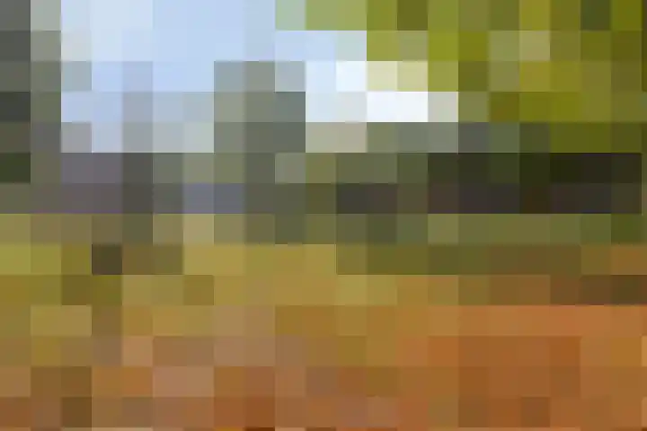 Anthony Staringdreef 20 Goirle thumbnail 37