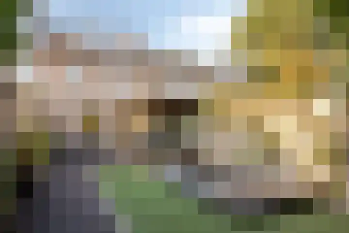 Anthony Staringdreef 20 Goirle thumbnail 4