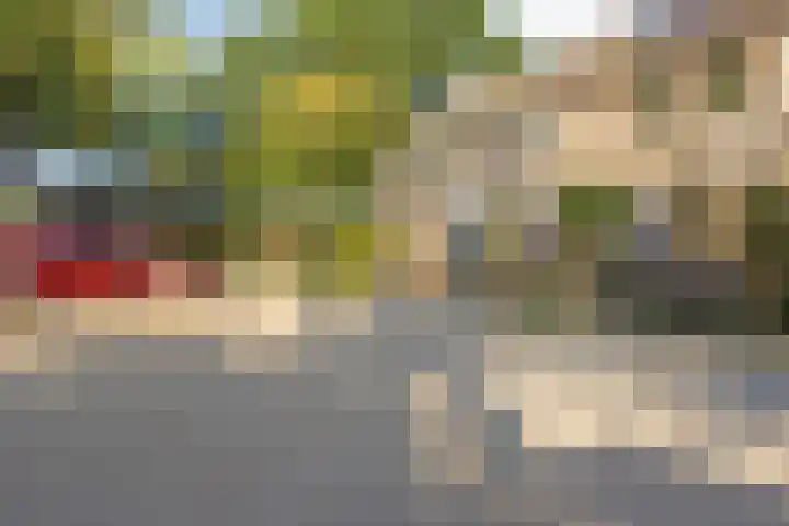 Anthony Staringdreef 20 Goirle thumbnail 5