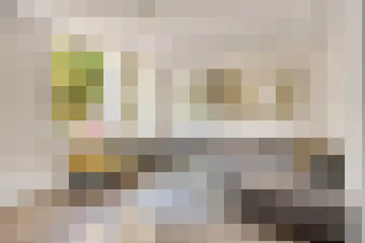 Anthony Staringdreef 20 Goirle thumbnail 8