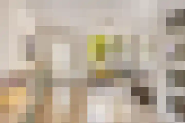 Anthony Staringdreef 20 Goirle thumbnail 9