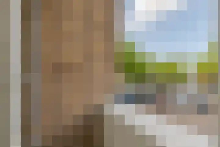 Anthony Tijkenstraat 12 Rotterdam thumbnail 17